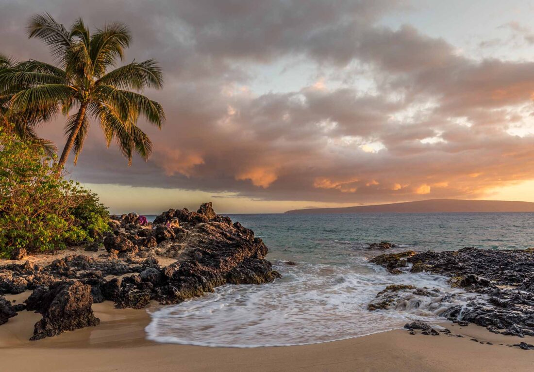 ocean near trees and rocks sunset on the beach of Hawaii