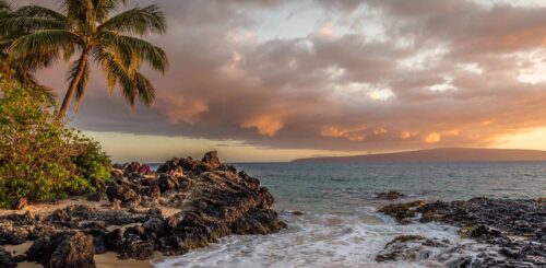 ocean near trees and rocks sunset on the beach of Hawaii