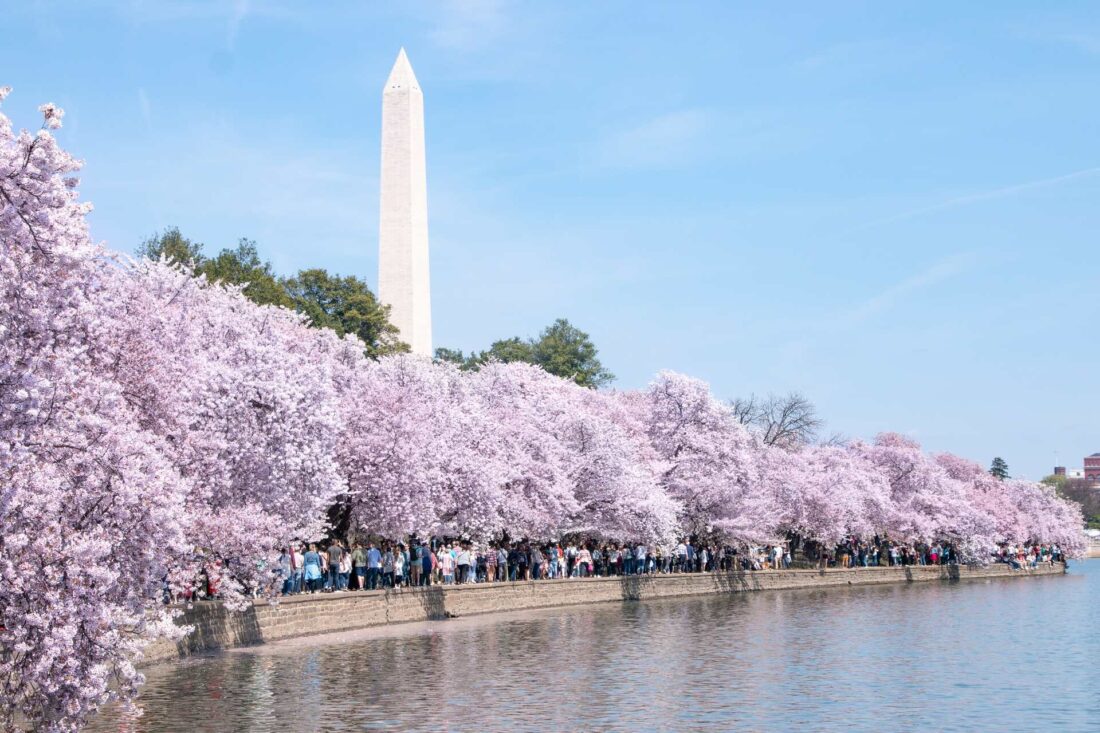 If you want to move and visit Washington DC at the day, cross country movers can help you