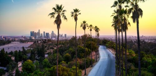 Capturing the essence of moving to Los Angeles, with majestic palm trees dominating the scene against the city's backdrop. The dynamic composition symbolizes the energy and allure of LA, signaling a fresh start and a journey into the vibrant urban landscape.