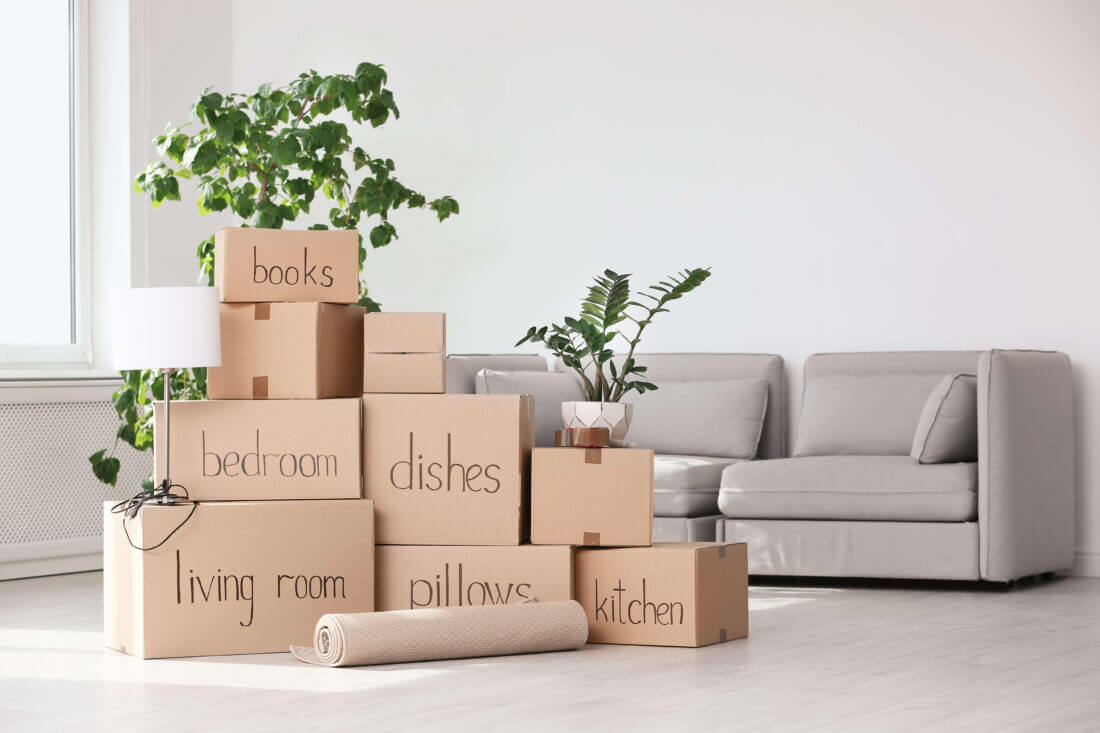Boxes, plants, and a sofa before long-distance moving 