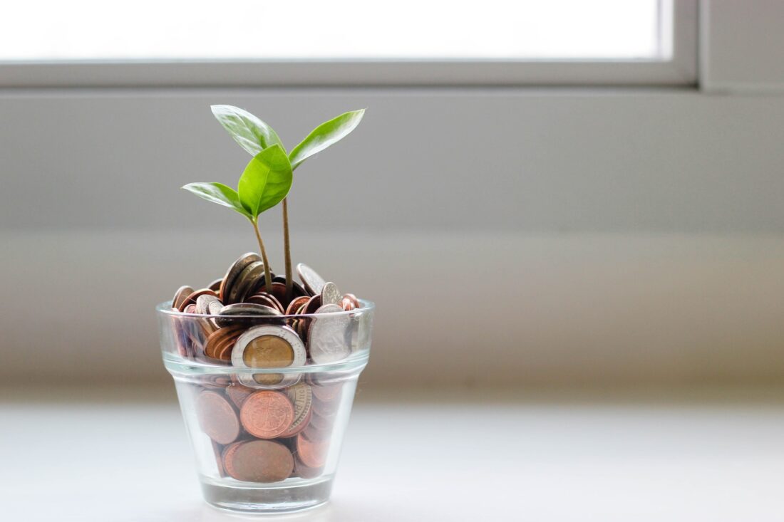 Money in a glass with a plant