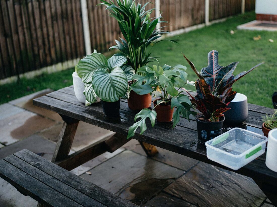 plant pots on the table in the garden