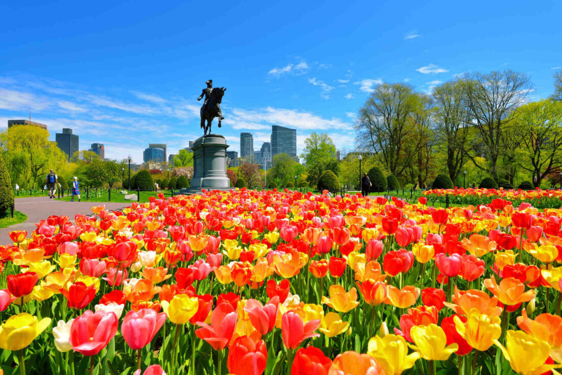 Washington DC in the spring