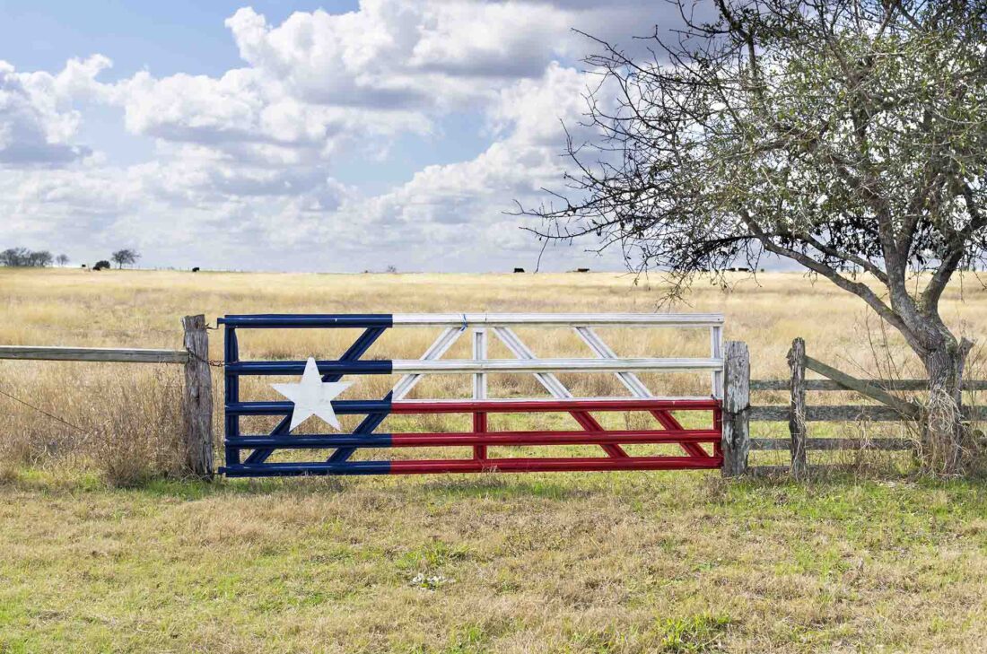 A fence with a Texas flag